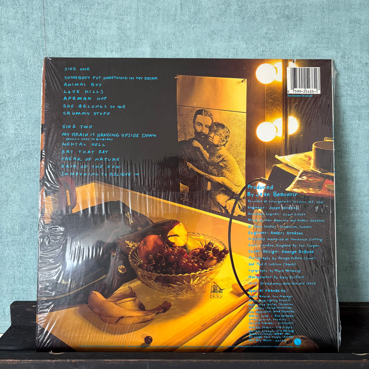 Ramones - Animal Boy - VINYL