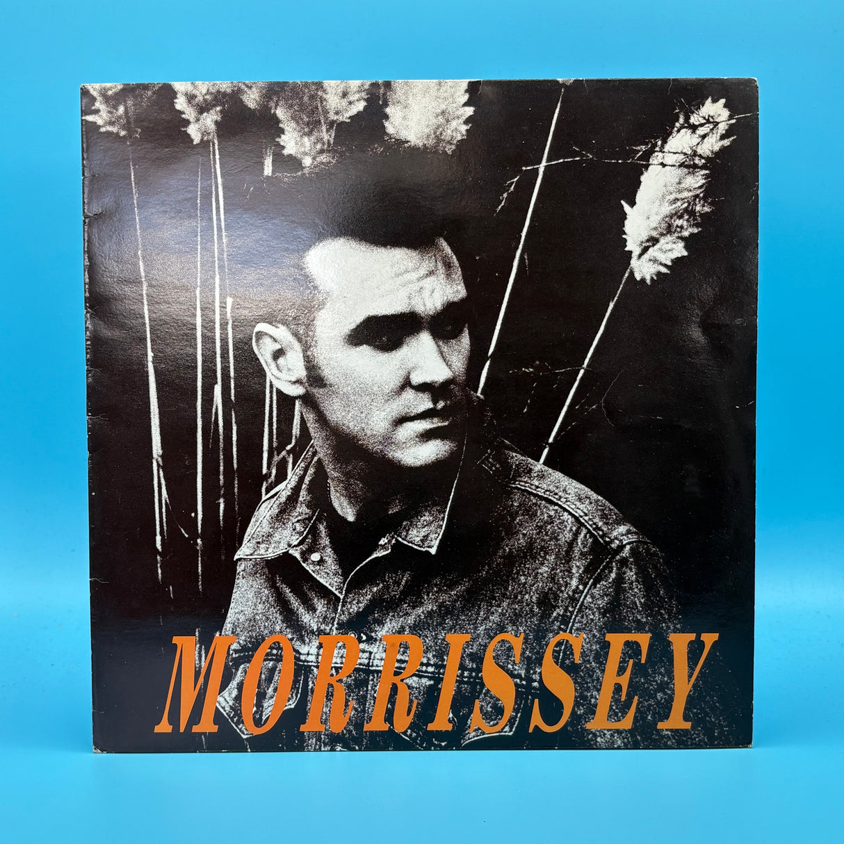 Morrissey - November Spawned a Monster 12" Single Vinyl