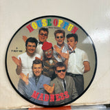 Madness - House Of Fun Picture Disc Vinyl