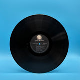 The Simpsons - Sing The Blues Vinyl