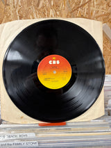 Bruce Springsteen - Born to Run - VINYL