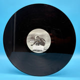 The Chemical Brothers - Loops of Fury 12" Vinyl Single