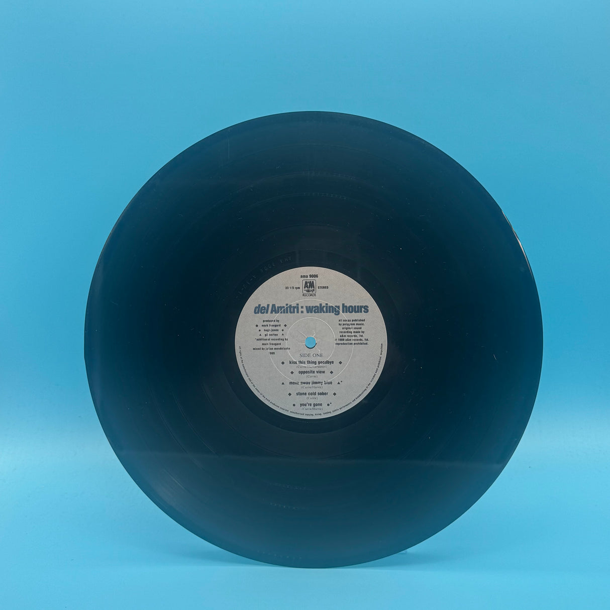 Del Amitri - Waking Hours Vinyl