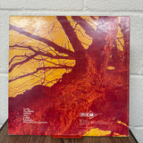 Wishbone Ash - Pilgrimage - VINYL