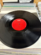 Bruce Springsteen - Tunnel Of Love - VINYL