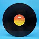 The Only Ones - Baby's Got A Gun Vinyl