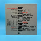 Bryan Adams - You Want It You Got It Vinyl