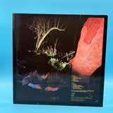 Echo And The Bunnymen - Crocodiles Vinyl