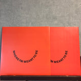 Ezra Collective - Where I’m Meant To Be - VINYL