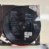 Metallica - Enter Sandman Picture Disc Vinyl