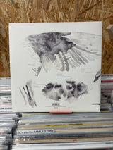 Daughter - Music From Before The Storm - 2018 RSD 4AD -  VINYL