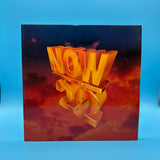 Now That's What I Call Music 22 Vinyl