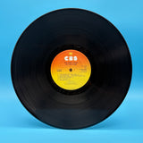 The Only Ones - The Only Ones Vinyl