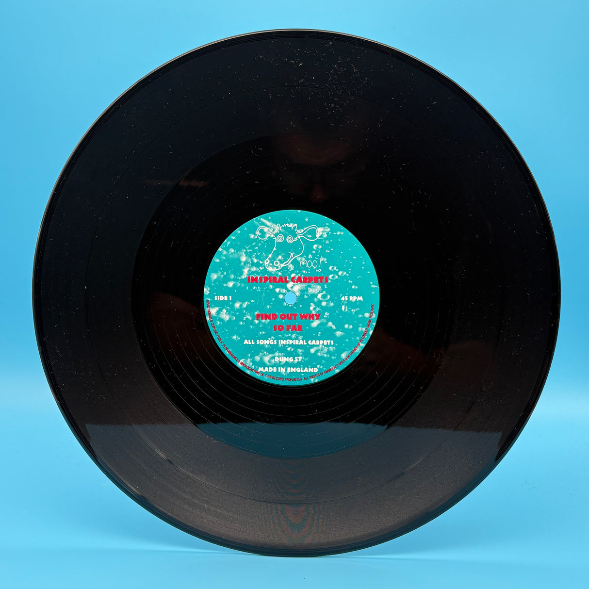 Inspiral Carpets - Find Out Why 12" Single