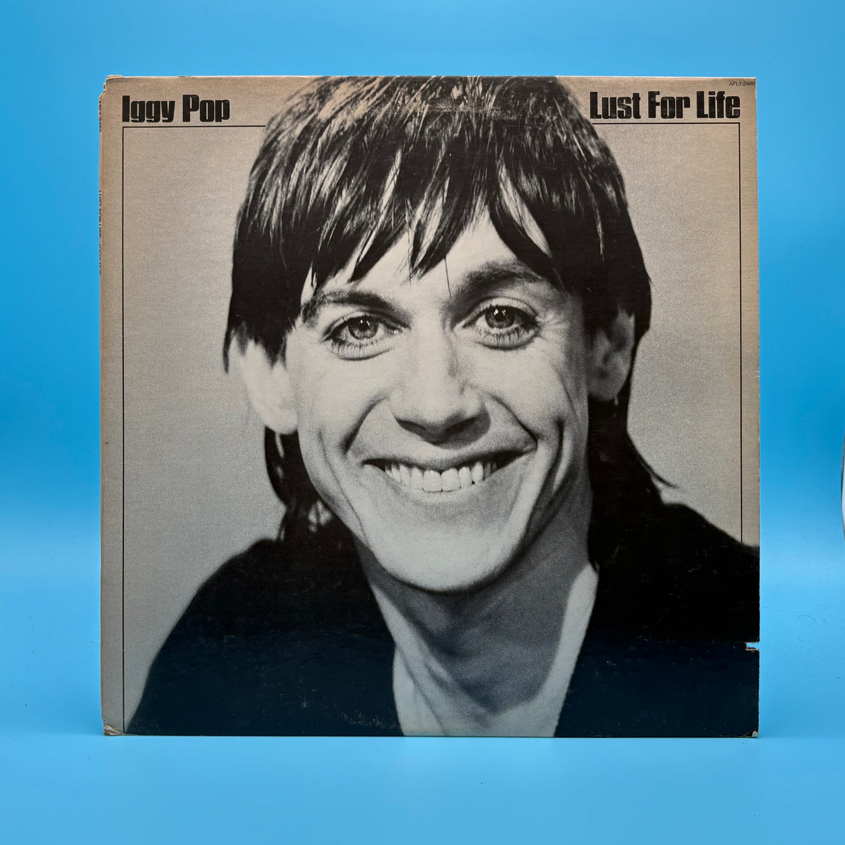 Iggy Pop - Lust For Life Vinyl