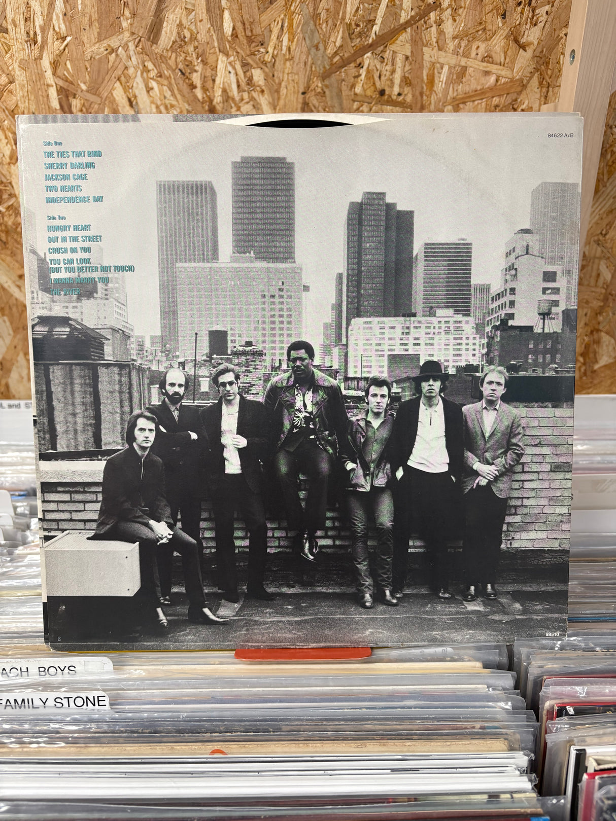 Bruce Springsteen - The River - VINYL