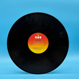 Bob Dylan - Hard Rain Vinyl