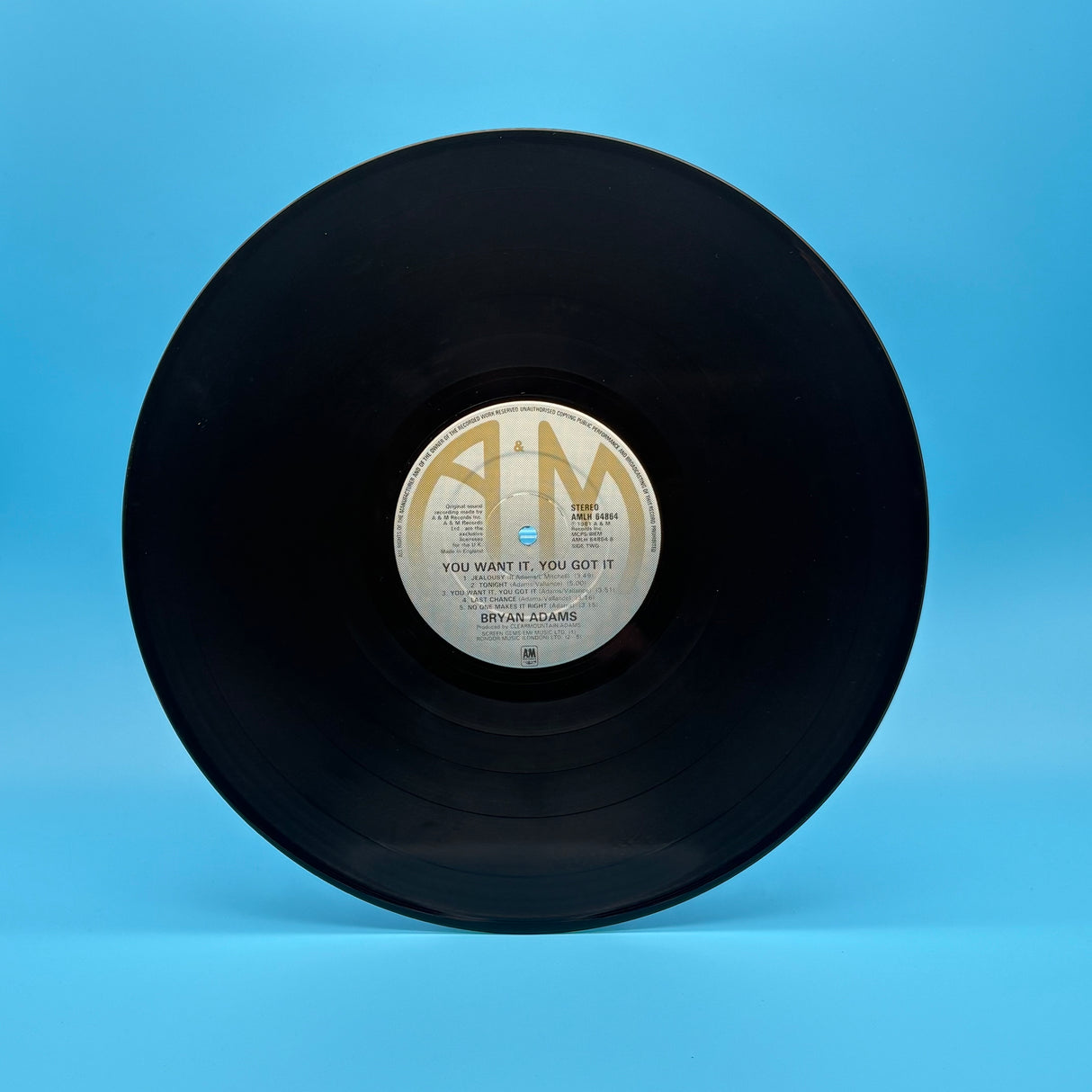 Bryan Adams - You Want It You Got It Vinyl