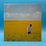 Lewis Parker - Rise/Visions Splendour 1996 UK Press Vinyl