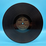 The Beatles - Please Please Me Gold Mono Vinyl