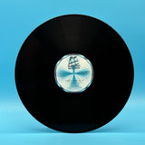 Stevie Wonder - Songs In The Key Of Life Vinyl