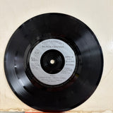 The Black Crowes - Remedy Etched Single Vinyl