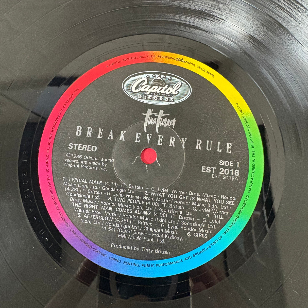 Tina Turner - Break Every Rule - VINYL