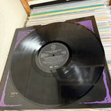 Stevie Nicks - Time Space - The best of Stevie Nicks - VINYL