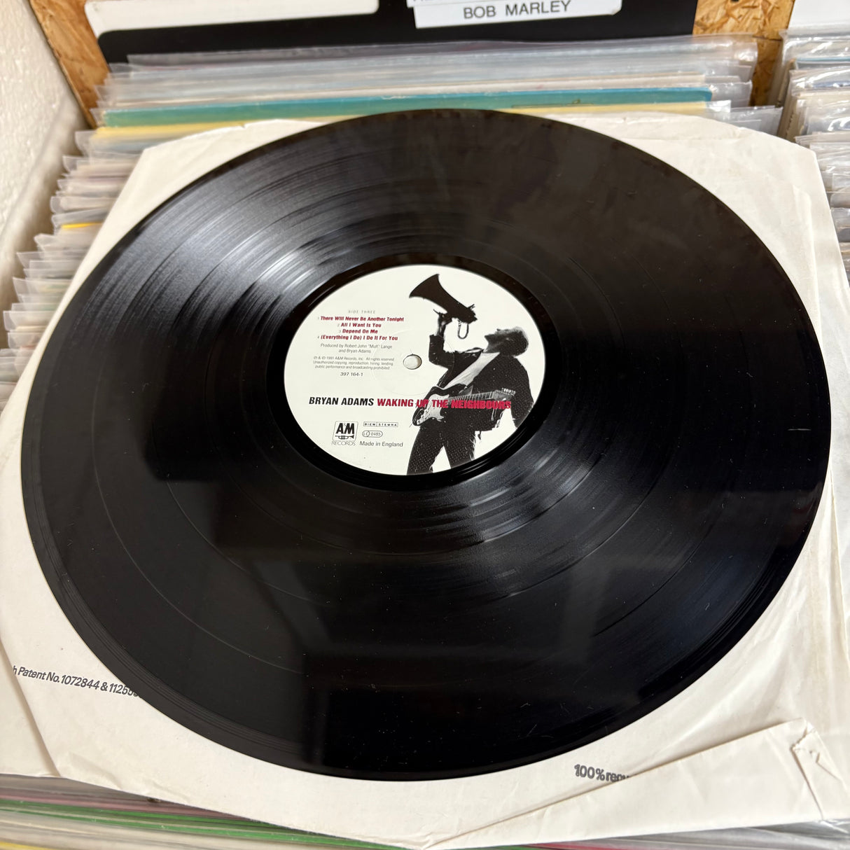 Bryan Adams - Waking up the Neighbours - VINYL