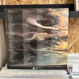 Deep Purple - Stormringer - VINYL