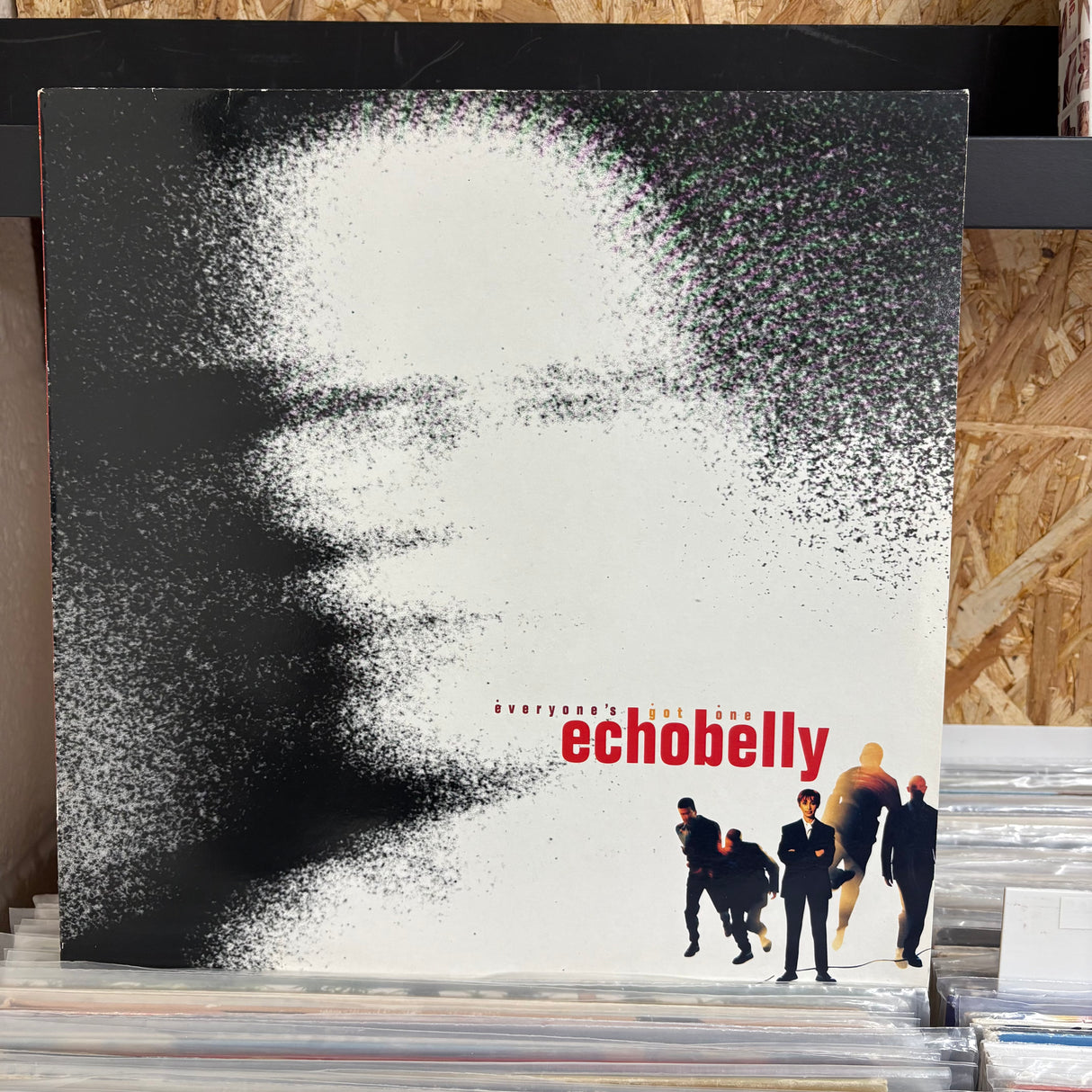 Echobelly - Everyones Got One - VINYL