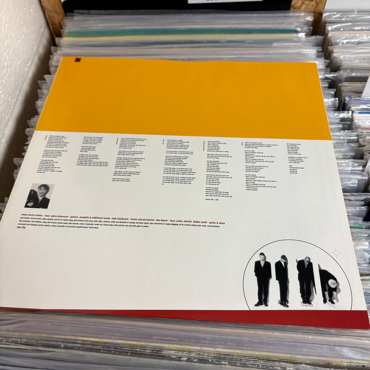 Echobelly - Everyones Got One - VINYL