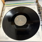 The Beautiful South - Choke - VINYL