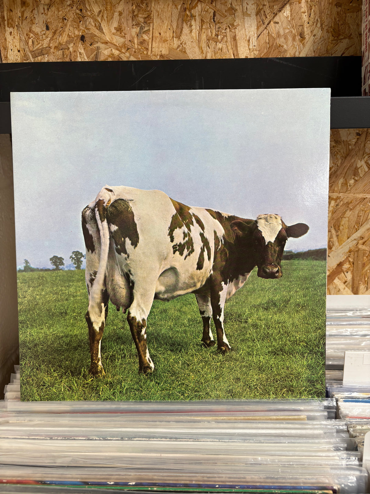 Pink Floyd - Atom Heart Mother - VINYL