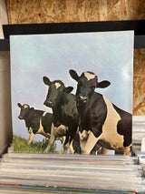 Pink Floyd - Atom Heart Mother - VINYL