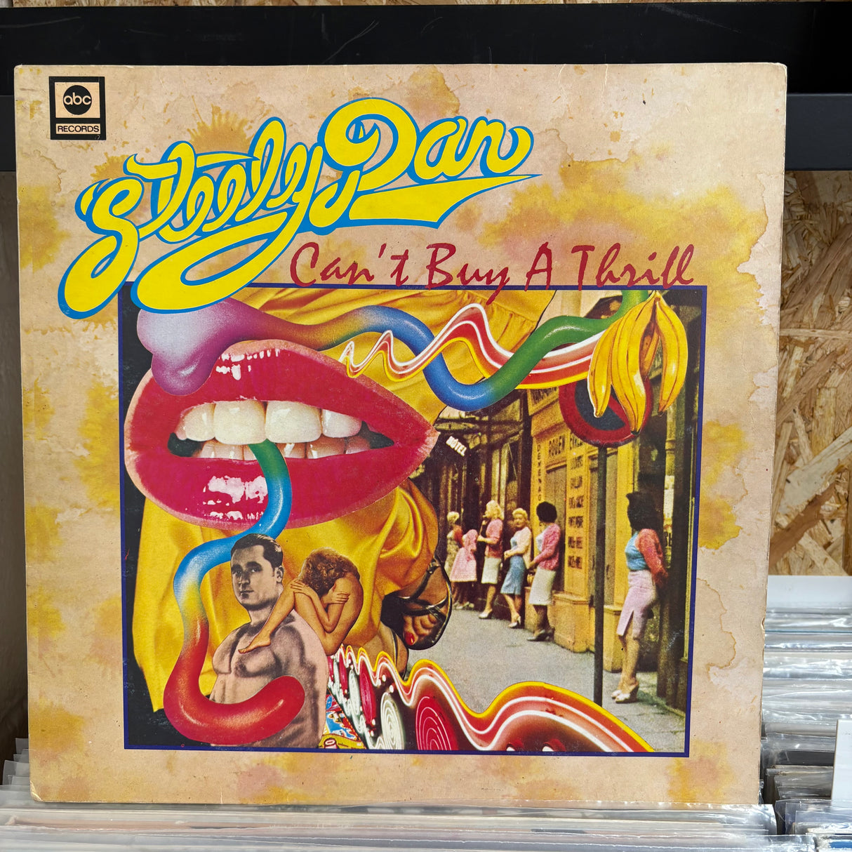Steely Dan - Can't Buy a Thrill - VINYL