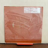 Gerry & The Holograms - Meet The Dissidents - 7 inch Single - VINYL