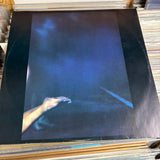 Siouxsie And The Banshees - The Scream - VINYL