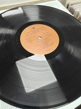 The Beautiful South - Carry on up the Charts - Original Double LP - EX+