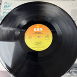 Bruce Springsteen - The River (Complete)- VINYL