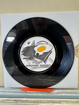 Exploding Seagulls - Johnny Runs For Paregoric - 7 inch Single - VINYL