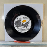 Exploding Seagulls - Johnny Runs For Paregoric - 7 inch Single - VINYL