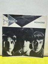 Pinpoint - Richmond/Love Substitute - 7 inch Single - VINYL