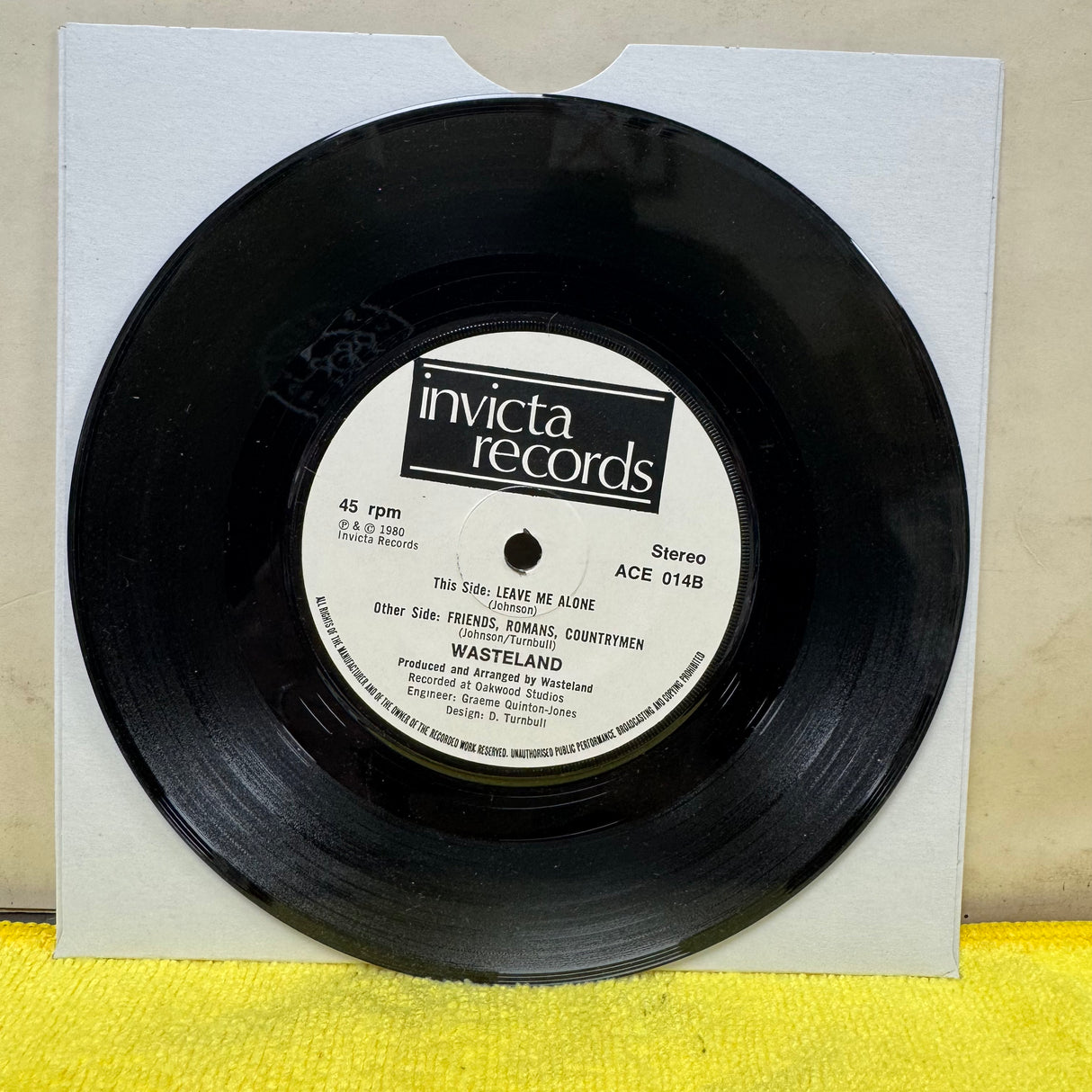 Wasteland - Friends Romans - 7 inch Single - VINYL