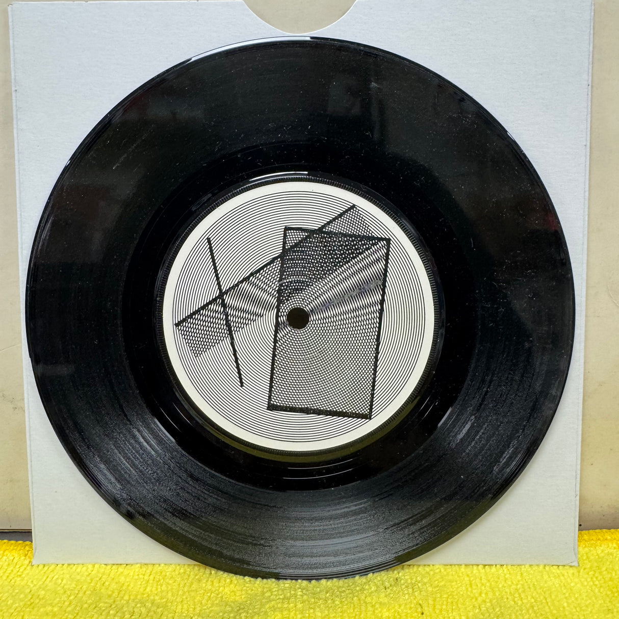 Wasteland - Friends Romans - 7 inch Single - VINYL