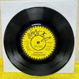 Barracudas - His Last Summer - A Label Demo - 7 inch Single - VINYL