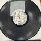 Lifestyle of the Richkids on LSD - Rock n Roll Nightmare (Complete with Comic) - VINYL