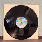 Steve Earle - Copperhead Road Vinyl