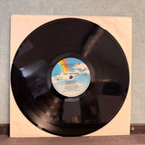 Steve Earle - Copperhead Road Vinyl