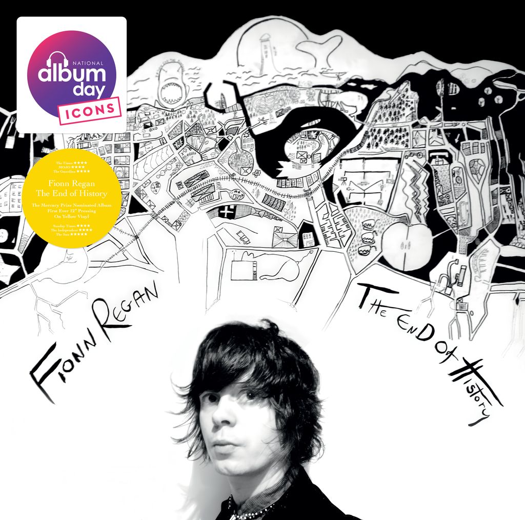 Fionn Regan - The End of History Vinyl